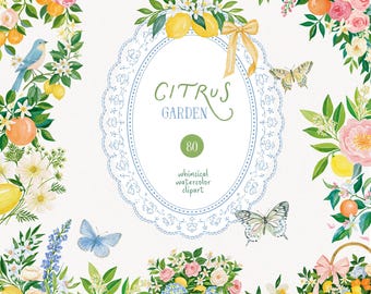 Lemon Clipart, Watercolor Citrus Italian Mediterranean Garden Florals, PNG, Summer Botanical Bundle, Wedding Clipart Commercial Use