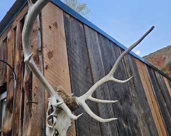 Sesión de sanación chamánica