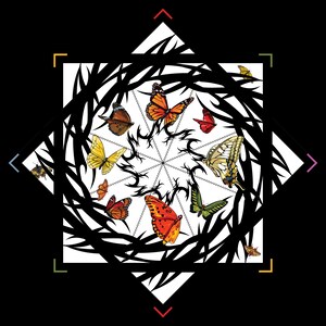 Monarch – Forever FlowStar 26" (Ready To Ship)