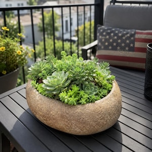 May include: A round, textured, tan stone-like planter filled with a dense arrangement of various green succulent plants. The planter has a smooth, curved rim and a rough, porous exterior surface, housing multiple types of small, fleshy succulents.