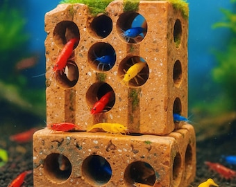 Shrimp Cave | Terracotta Aquarium Hide | Handmade Clay Shrimp Shelter | Aquascape Decor | Safe for Neo & Caridina | Natural Tank Decoration