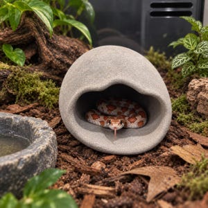 Pode incluir: Um esconderijo para répteis em forma de cúpula, cinzento e liso, com uma abertura larga e arqueada. Dentro da estrutura semelhante a uma gruta, uma cobra esguia com um corpo de padrão laranja e branco descansa, estendendo a língua bífida.