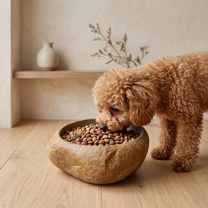 May include: A brown, stone-like dog bowl filled with dry dog food. A small, curly-haired dog with brown fur is eating from the bowl. The bowl is on a wooden floor. A small vase and decorative branch are in the background.