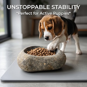 May include: A beagle puppy reaches for food in a stone-like dog bowl. The bowl sits on a gray mat. The text "UNSTOPPABLE STABILITY" is above the puppy and bowl.