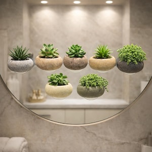 May include: Seven small, round planters with various succulents and greenery are displayed. The planters are in shades of gray, tan, and brown, and are mounted on clear, circular supports. The plants feature different textures and shades of green.