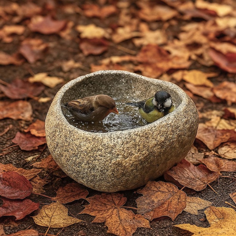 May include: A rounded, textured stone bird bath basin filled with water, containing two small birds. One bird has brown plumage with an orange beak, while the other is a great tit with a black head, white cheeks, and a yellow and green body.