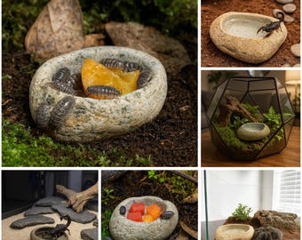 Tarantula Water Dish | Natural Stone Insect Bowl | Scorpion & Isopod Feeding Dish | Reptile Terrarium Decor
