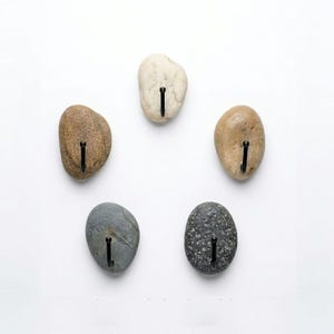 May include: Five natural stone wall hooks in varying shades of brown, gray, and cream. Each stone has a black metal hook attached. The hooks are arranged in a circular pattern against a white background.