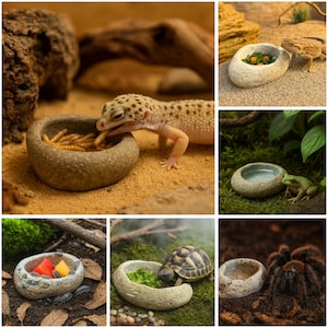 Peut inclure: Un collage d'images présentant de petits bols en forme de pierre utilisés comme habitats pour divers reptiles et amphibiens. Les bols contiennent de la nourriture et de l'eau, et sont présentés avec un gecko léopard, un dragon barbu, une grenouille et une tortue. Une tarentule est également montrée.