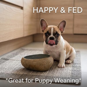 May include: A French Bulldog puppy with brown and white markings sits near a stone-like dog bowl. The text "HAPPY & FED" is above the puppy. The text "*Great for Puppy Weaning*" is below the bowl.