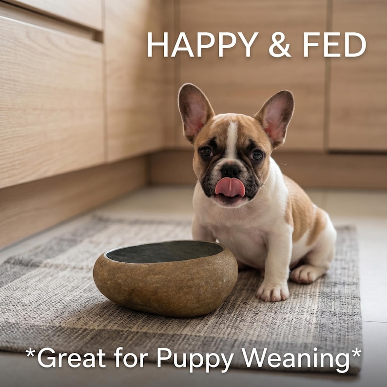 May include: A French Bulldog puppy with brown and white markings sits near a stone-like dog bowl. The text "HAPPY & FED" is above the puppy. The text "*Great for Puppy Weaning*" is below the bowl.