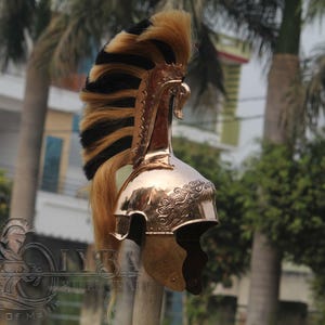 May include: A polished brass helmet with a decorative crest of black and tan hair. The helmet features ornate detailing and is likely a historical or costume piece.