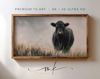 Black Angus: cattle in morning light, traditional oil painting, charcoal wheat grey, misty autumn cow, rustic farmhouse chic, 4K 8K TV art
