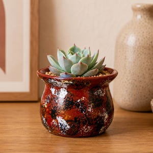 May include: A small, round ceramic planter with a glossy, mottled glaze in shades of deep red, black, and white. The pot features a wide, flared rim and contains a light green succulent plant with pointed leaves, nestled in small, light-colored soil pebbles.