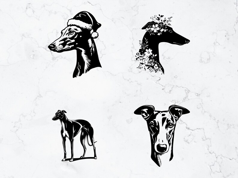 Greyhound Design Greyhound Silhouette Vector Bundle, Racing Dog Clipart (SVG, PNG) - Etsy