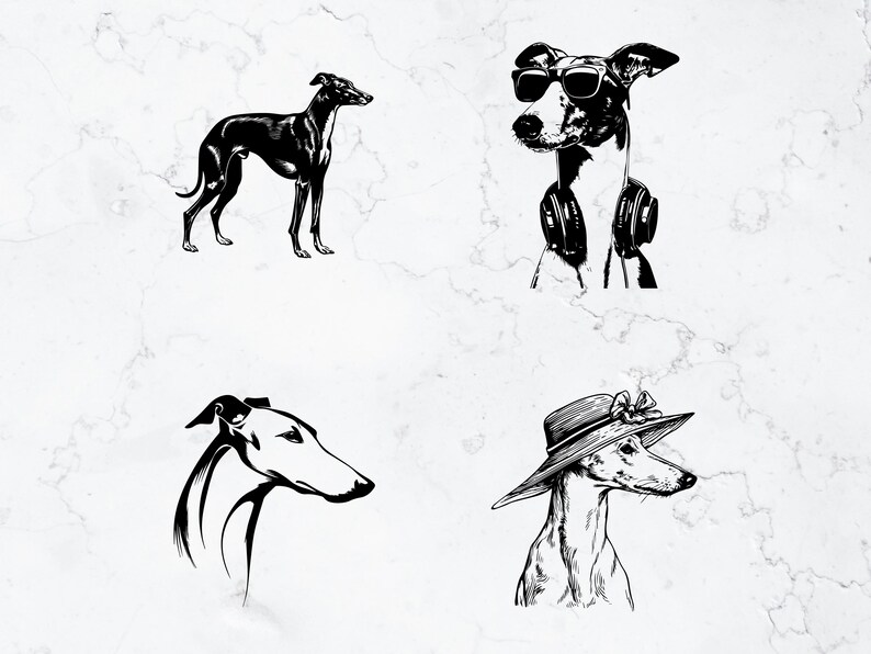 Greyhound Design Greyhound Silhouette Vector Bundle, Racing Dog Clipart (SVG, PNG) - Etsy