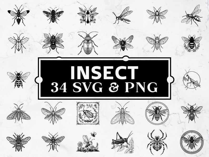 Fly Insect Svg Insect Silhouette SVG PNG Bundle, Bug Clipart Vector, Cricut Cut File ...
