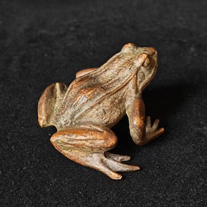Antique Bronze Frog Figurine - Wealth Attraction