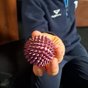 Pode incluir: Uma bola roxa espinhosa com pontas douradas é segurada em uma mão. A bola tem formato esférico e é coberta por numerosas protuberâncias triangulares afiadas. O fundo está desfocado, com uma pessoa vestindo uma blusa azul marinho.