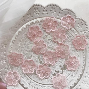 Può includere: Una collezione di delicate applicazioni floreali in pizzo rosa chiaro. Le applicazioni sono disposte su un piatto bianco ornato, con bordo smerlato. I fiori presentano cuciture dettagliate e un aspetto traslucido, perfetti per progetti creativi.