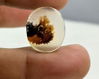 Natural Dendritic Agate Cabochon, Loose Gemstone (19x16MM)