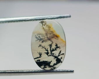 Natural Dendritic Agate Cabochon: Loose Gemstone, Jewelry Making (13x9mm)
