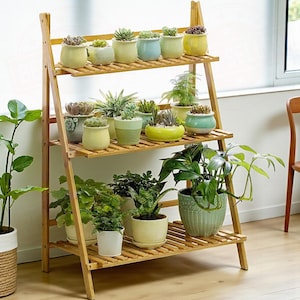 May include: A three-tiered bamboo plant stand displaying a variety of potted plants and succulents. The stand has a ladder-like design with slatted shelves. The pots are in shades of yellow, green, and blue. The plants are of different sizes and shapes.