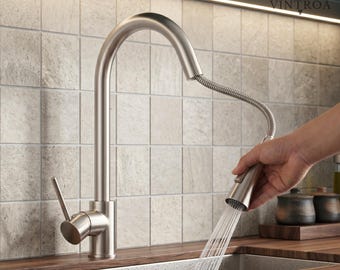 Brushed Nickel Kitchen Faucet Pull Out Sprayer Modern Sink Tap
