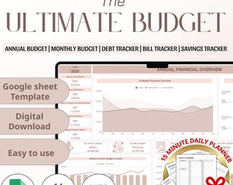 Budget Google Sheet | Årlig finansöversiktsöversikt (digital nedladdning)