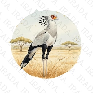 May include: Watercolor illustration of a secretary bird in a savanna landscape. The bird has gray and black feathers, with a red and orange eye. The background features a yellow-brown field, trees, and a light blue sky.