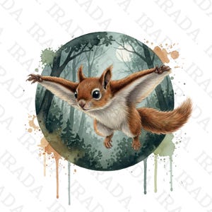 May include: A watercolour illustration of a flying squirrel with outstretched arms, featuring brown fur and a white belly. The squirrel is set against a forest scene within a circular frame, with watercolour paint drips.