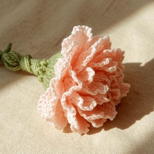 Keine Sew Crochet Nelke Blumenmuster | Anfänger DIY Bloom Tutorial | Blumen Dekor & handgemachtes Geschenk häkeln Bouquet Decke | (PDF-Muster)