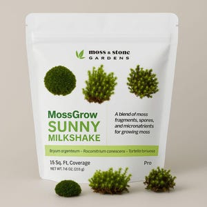 Sunny Moss Milkshake for Growing Moss