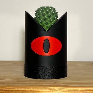 Può includere: Un vaso cilindrico nero con un design a occhio rosso, che contiene un piccolo cactus verde. Il vaso ha una base strutturata e una parte superiore a punta. Il cactus è rotondo e ricoperto di piccole spine verdi.