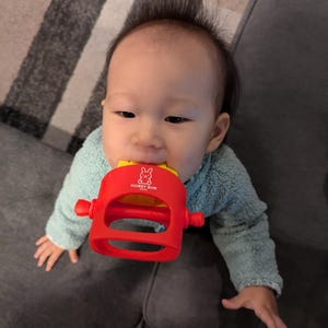 Pu&ograve; includere: Un bambino con un top in pile blu chiaro tiene in bocca un giocattolo rosso e giallo. Il giocattolo ha le parole "HONEY BUN" e un logo di coniglio. Il bambino &egrave; seduto su un divano grigio.