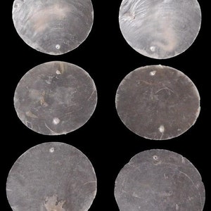 Peut inclure: Six disques ronds en nacre blanche irisée, chacun avec deux trous. Les disques sont disposés en deux rangées de trois.