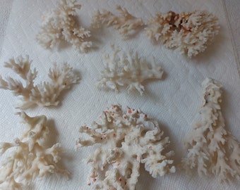 1  to 4 Pieces white off white Real Coral Reef Assorted stem Coral Natural approx. 1/2 to 4" sea life Decor,Wedding Table Decor Centerpiece