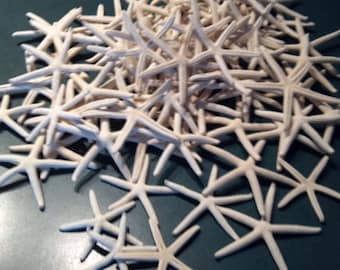 White Finger Starfish 2 3/4" 3" 4" 5" 6" 7" 8" 9" 10" Finger Starfish pencil 3" to 4" 3 to 4" 4 to 5"  5 to 6" 6 to 7" 7 to 8" 8 to 10"