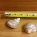 see more listings in the Shells section