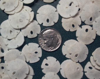 25 Sand Dollars Sanddollar Arrowhead 25 Tiny Sand dollars White  1/2" to 1 1/8" inch beach Theme Weddings,Craft Supplies,jewelry