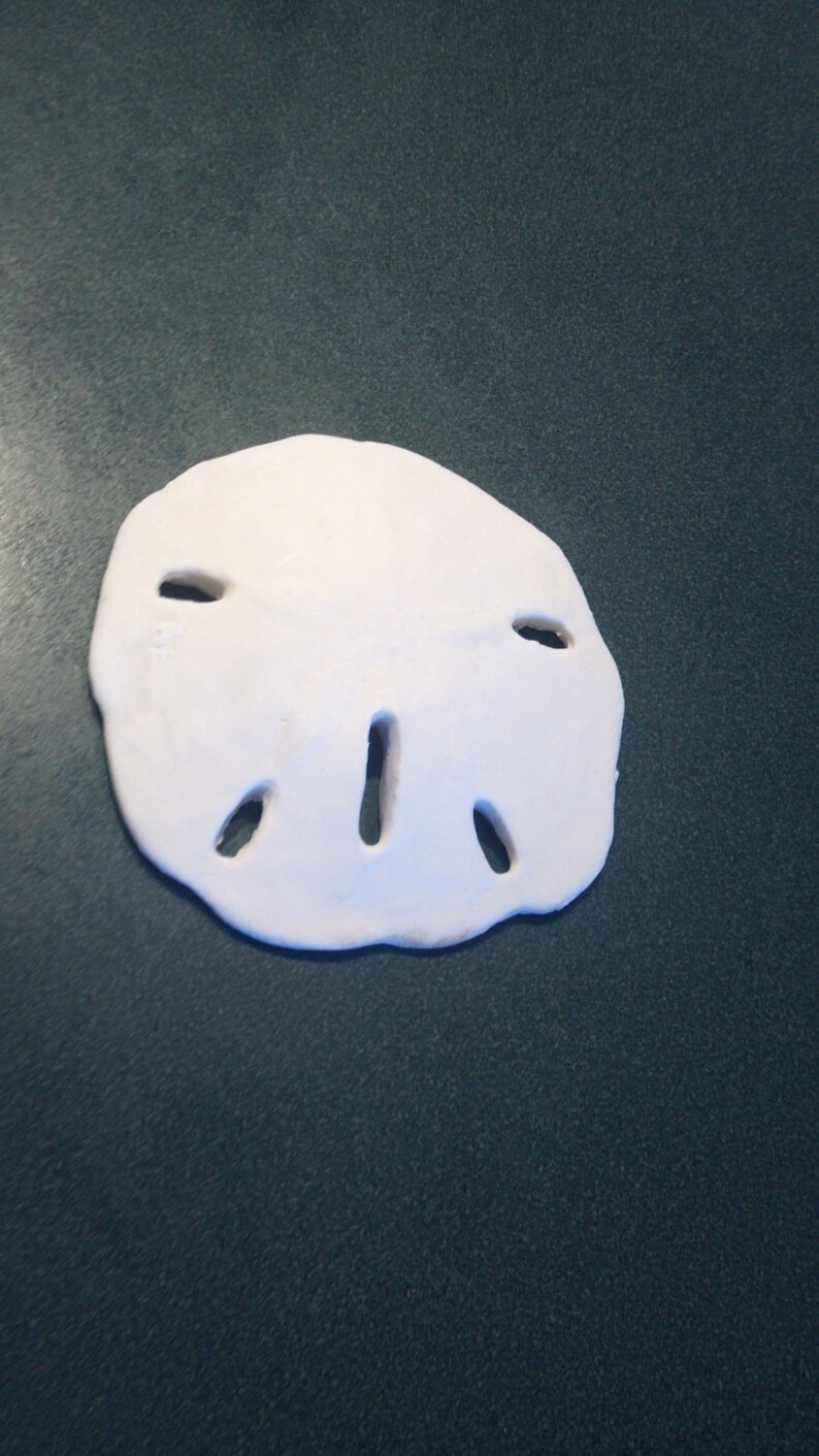 70 White sand dollars Faux Resin Sand Dollar Fake Sanddollar Etsy