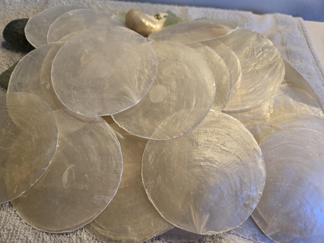 Capiz Shell Place Cards 1-50 Pieces (1-3 Inch) Jewelry Making ...