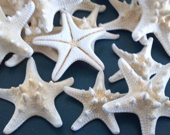 knobby sugar  starfish 1 to 9 pieces  3" to  5 3/4" inches great for crafts wreaths weddings party hair art crafting projects