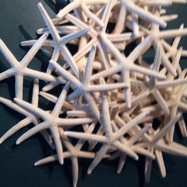 1 to 200 pieces Starfish  2 1/2 to 3 1/2 3 to 4" Finger Starfish Hand Picked Top Quality Bleached Starfish Nautical Decor ,Crafts,Weddings,