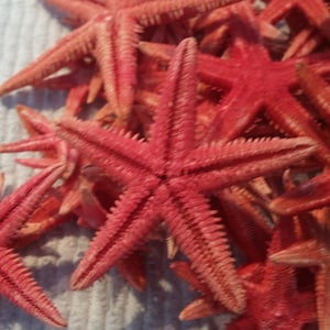 May include: A group of pink starfish, some with a darker pink hue, are arranged on a white textured surface. The starfish are all different sizes and shapes, but they all have five points.