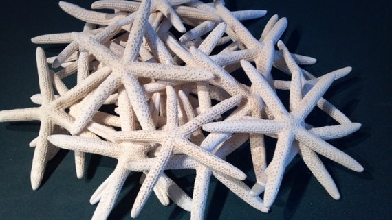 12 Pack White Starfish For Crafts And Decorating, Nautical Sea Ornaments  For Birthday Party, Wedding Decor (4-6 In)