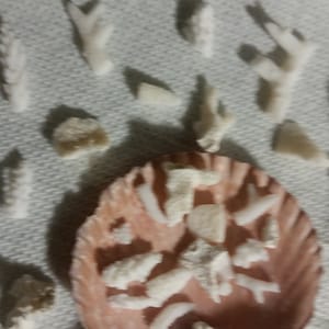 5  to 25  Broken Coral Pieces Real Coral Reef Assorted Lace stem Coral Natural approx. 1/2 to 2 1/4&quot; sea life shells Decor Craft Projects