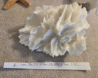 TRUE LETTUCE Coral 7 1/2  to 11 1/2" Real Coral Reef Genuine sea life Coral tree fan tree coral Rock Nautical Decor 35 Anniversary