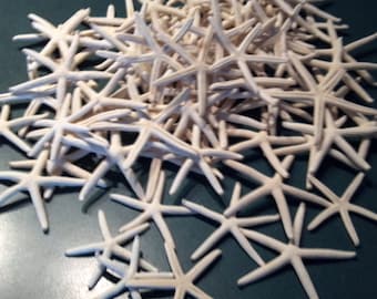 Pencil Finger Starfish 1 -100 pcs  linckia Sea Stars 2-4" place cards ornaments DIY Wedding Beach House and Window Display Star Free US SHIP