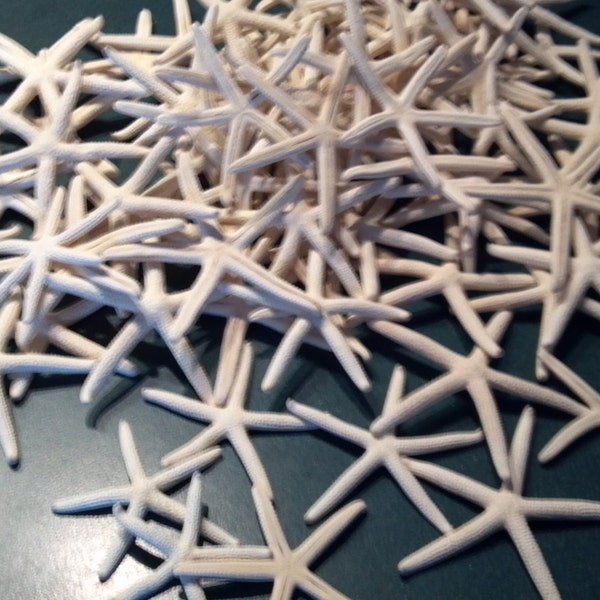 1 to 100 pcs  2 1/2 to 3 1/2 " 3 to 4" Finger Starfish Bulk Finger Starfish Natural White Pencil starfish Great for Crafts, weddings
